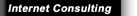 Internet Consulting